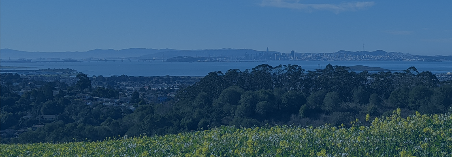 A view of San San Francisco and the Bay from the East Bay