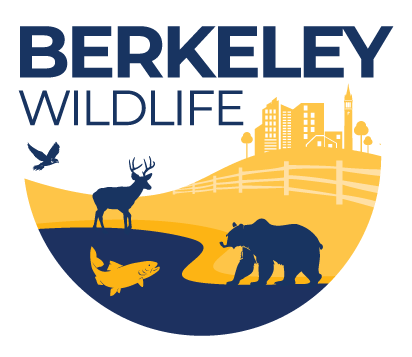 Berkeley Wildlife