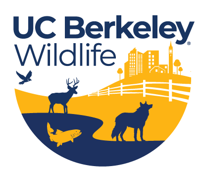 Berkeley Wildlife