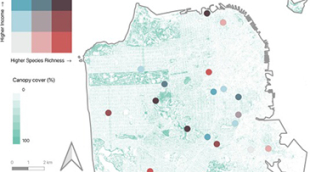 A map of sf that show Sam Francisco species richness