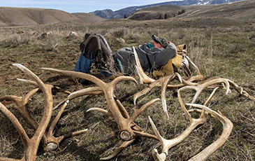A person next to a pile of shed collected
