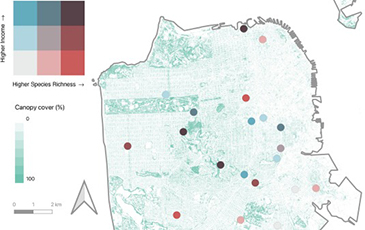 A map of sf that show Sam Francisco species richness