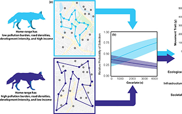 A figure from the published paper about predator data