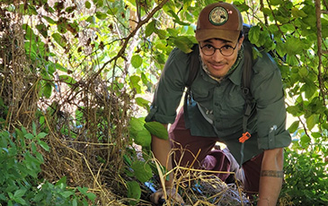 Carnivore ecologist Tyus Williams crouches to eye level to install a wildlife camera in Bayview Park, San Francisco, California.Credit: Dr Christopher J. Schell