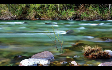 Flowing from the Klamath Mountains to the Pacific, California’s Smith River is a critical habitat for salmon and trout species.  Photo: iStock.