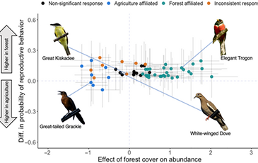A graph that shows the effects of forest cover on abundance